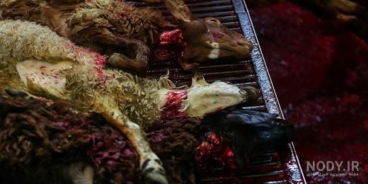 تصاویر متحرک عید فطر مبارک تصاویر متحرک عید فطر مبارک