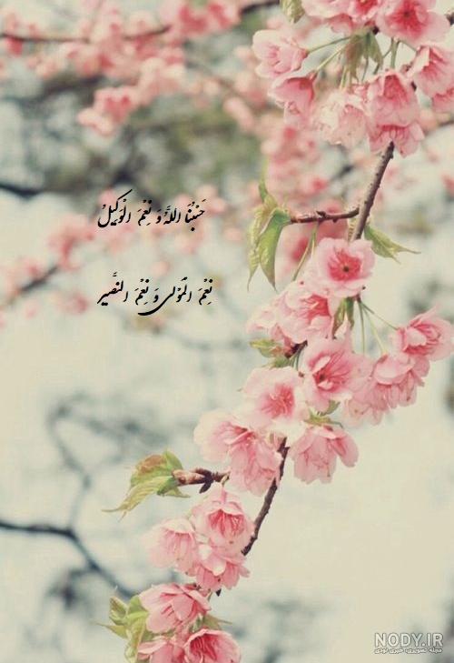 پروفایل حسبی الله پسرانه پروفایل حسبی الله پسرانه