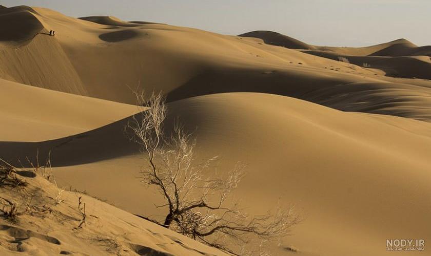 آب و هوای بجستان آب و هوای بجستان