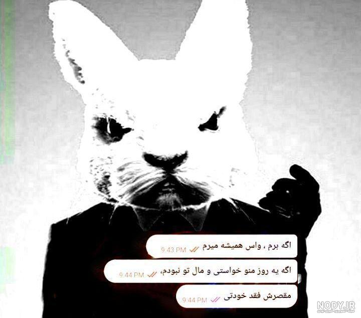 دانلود آهنگ دارم میرم واسه همیشه با صدای زن