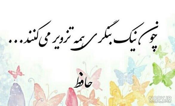 دیوار حیوانات یزد دیوار حیوانات یزد