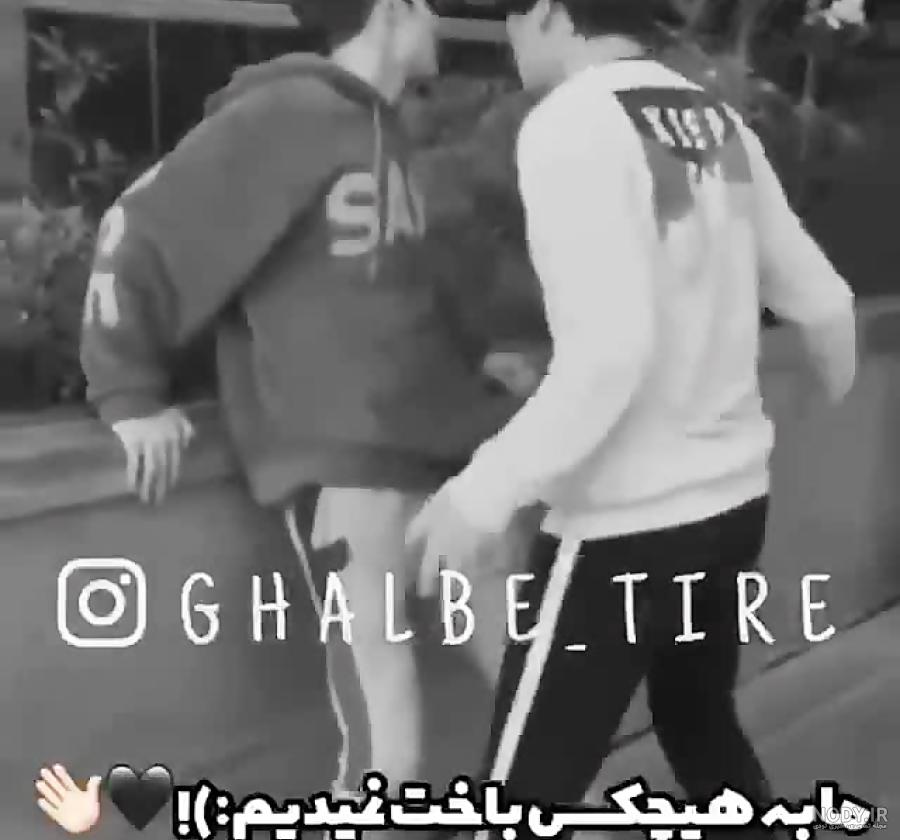 کلیپ شاخ برای وضعیت واتساپ
