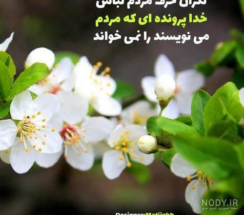 عکس نوشته های فلسفی و آموزنده