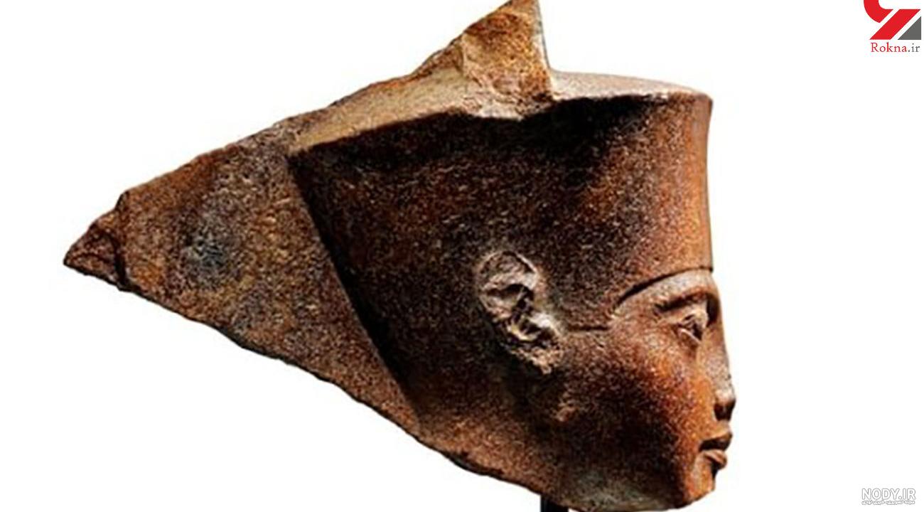 محل زندگی موش دوپا