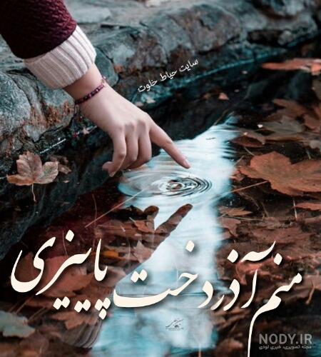 پروفایل عاشقانه دی ماهی