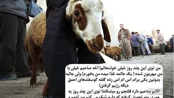 استیکر های خنده دار ایرانی