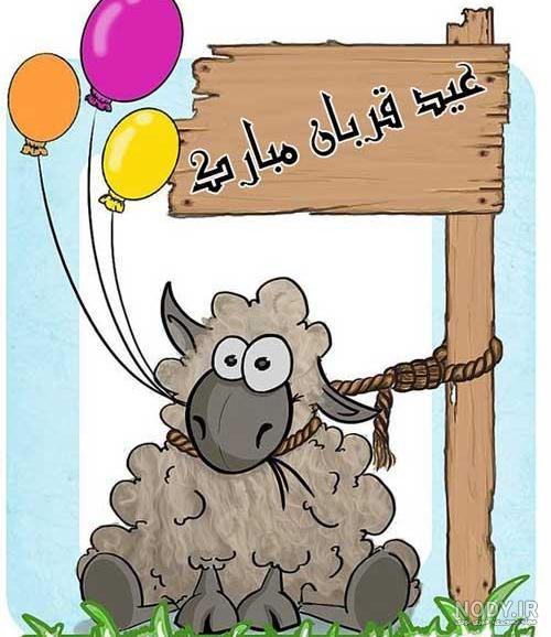 عکس قربانی عید قربان