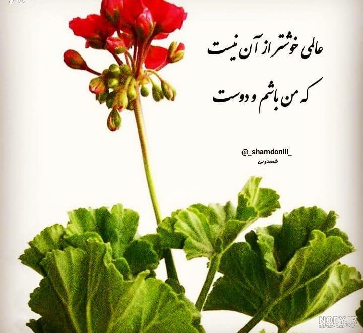 عکس نوشته انار و پاییز