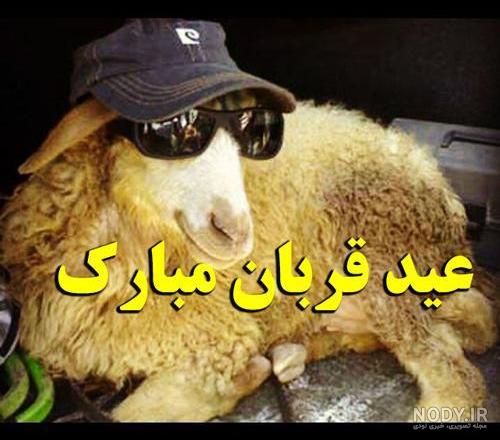عکس نوشته خنده دار درباره عید قربان
