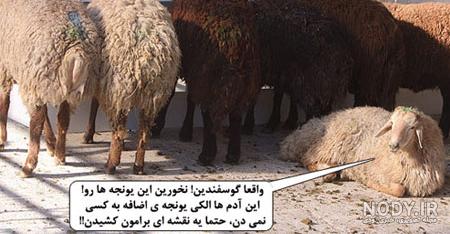 عکس نوشته خنده دار عید قربان