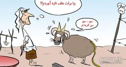 عکس گوسفندان خنده دار برای عید قربان