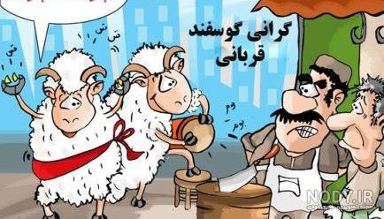 عکس گوسفندان رنگی