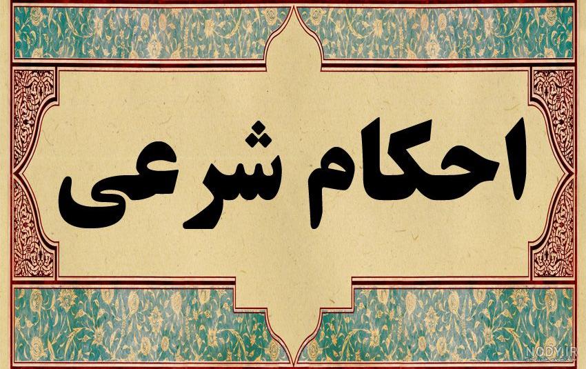 بازی مستر میت مود