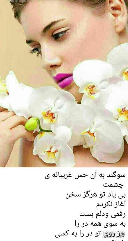 متن جوکر و هارلی