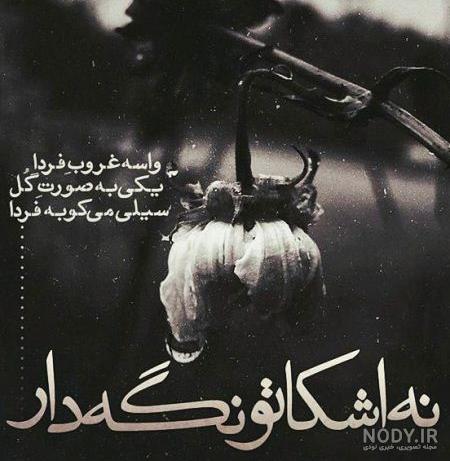 متن سلام برای گروه شاد متن سلام برای گروه شاد