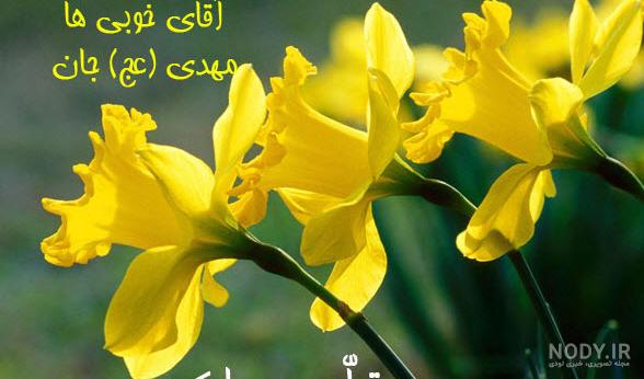 دیده شدن امام زمان در جمکران دیده شدن امام زمان در جمکران