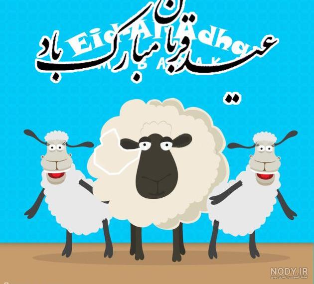 عکس پروفایل گوسفندی عکس پروفایل گوسفندی