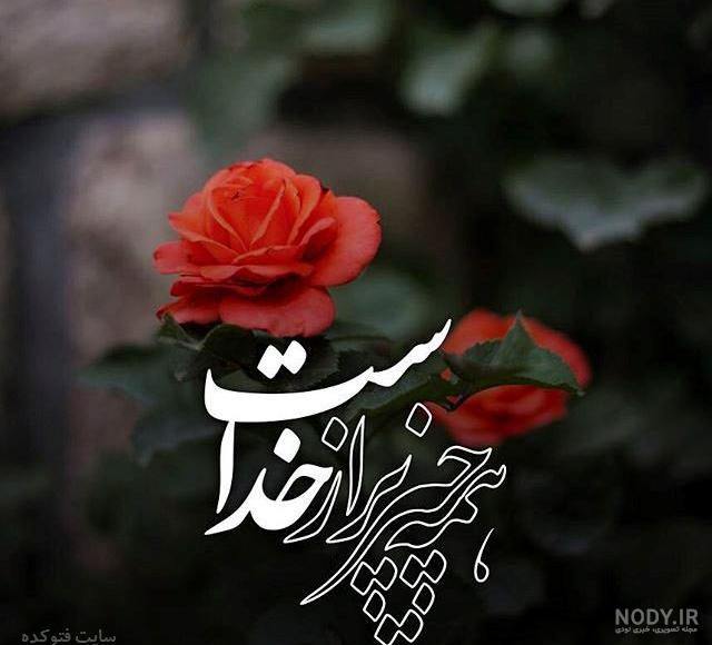 عکس های مرینت جدید