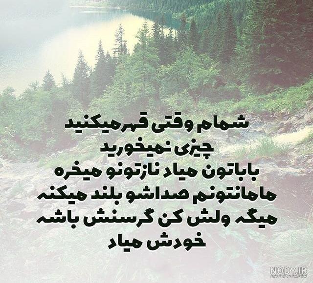 زیباترین عکس کربلا