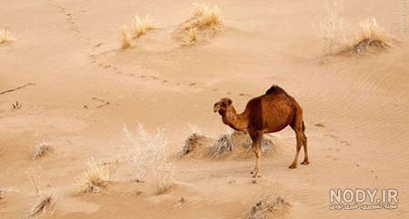 بیابانها و کویرهای ایران بیابانها و کویرهای ایران
