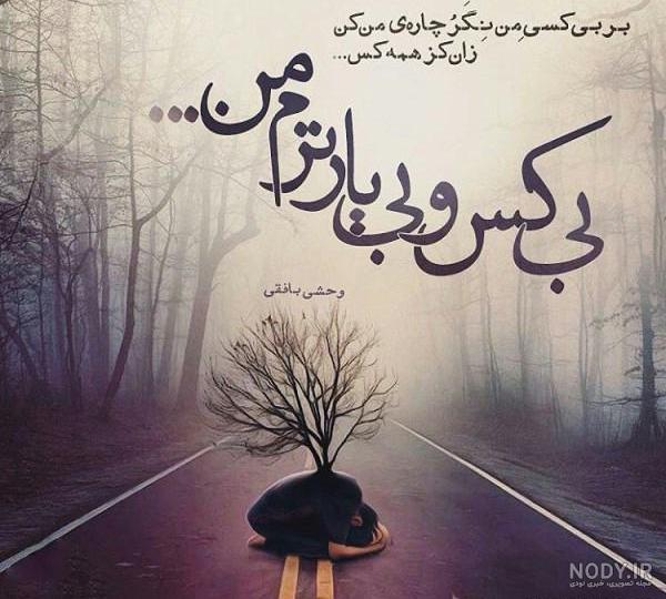 تم تولد دی ماهی ها
