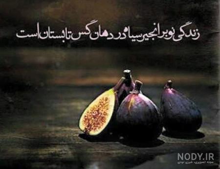 عکس نوشته های فلسفی و آموزنده