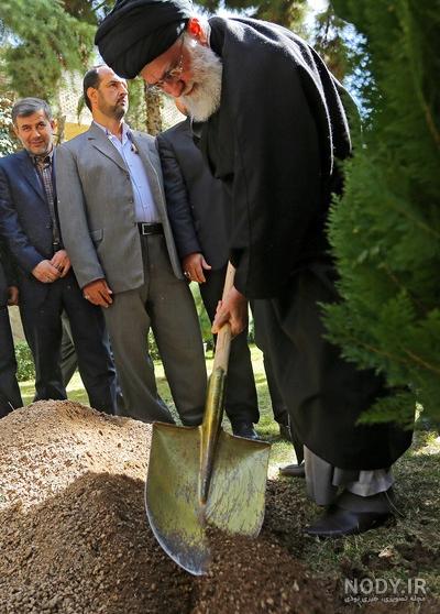روز درختکاری 1399 روز درختکاری 1399