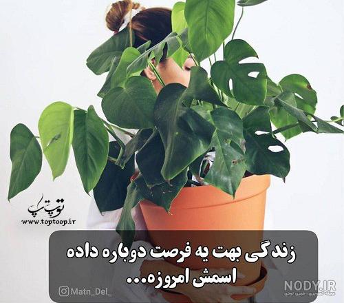 شعر در مورد فرصت دوباره