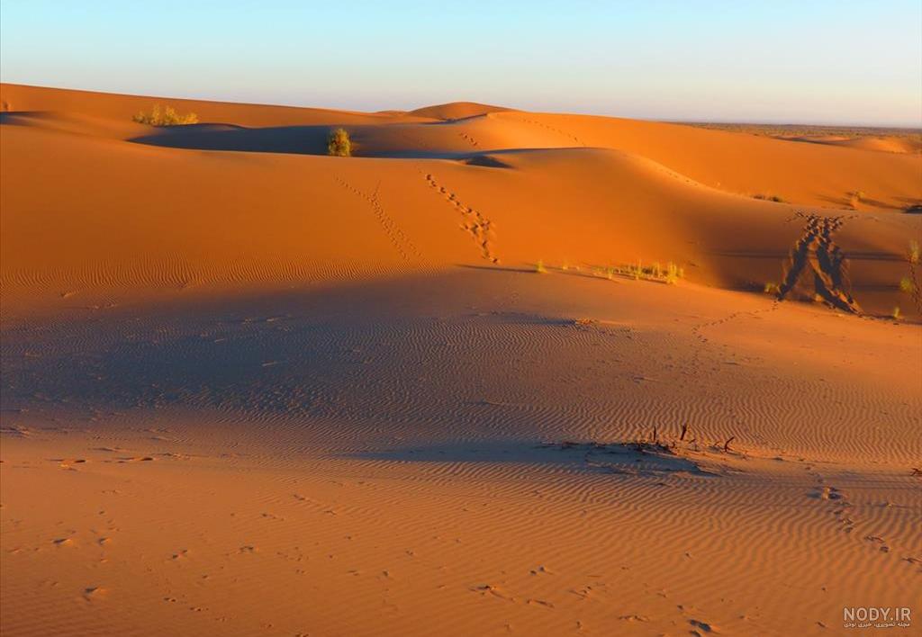 طبیعت گردی بیرجند طبیعت گردی بیرجند