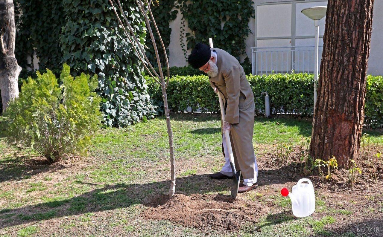 عکس رهبر در روز درختکاری عکس رهبر در روز درختکاری