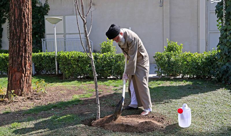 عکس رهبری روز درختکاری عکس رهبری روز درختکاری