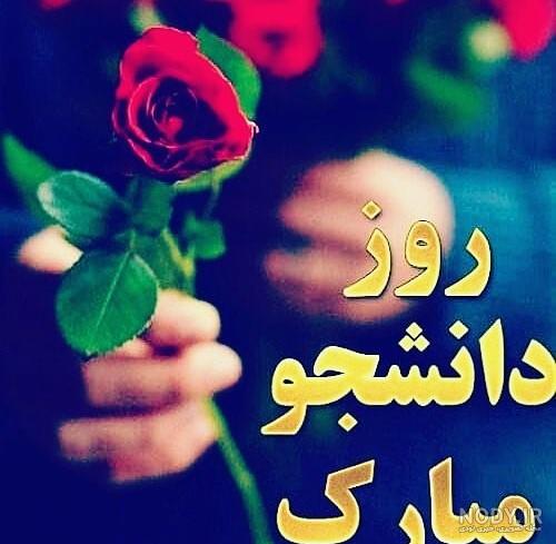 عکس دانشجویی پروفایل