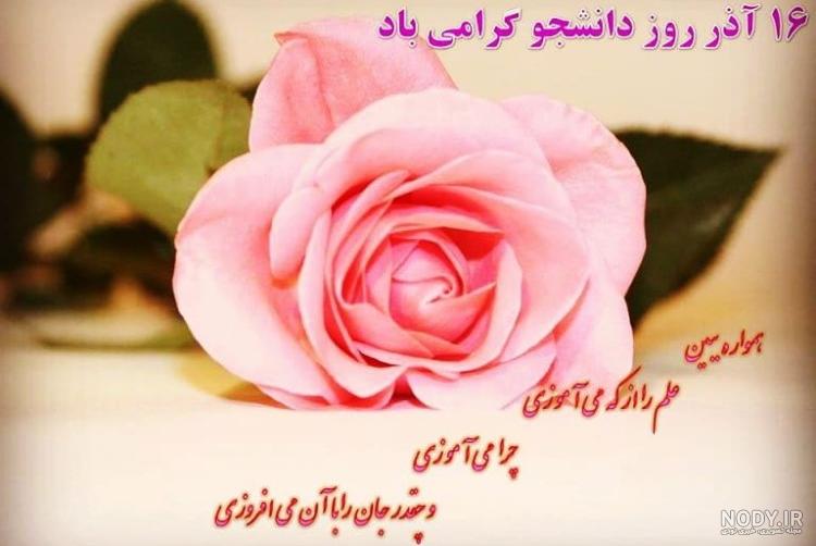 عکس دختر دانشجو فانتزی