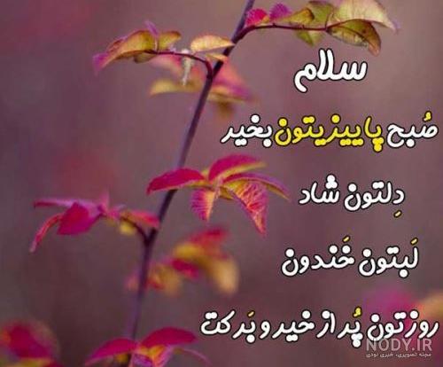 استوری صبح بخیر پاییزی