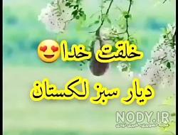 عکس لری غمگین
