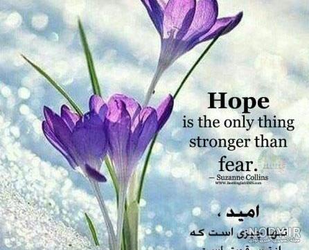 عکس خفن پروفایل انگلیسی کوتاه