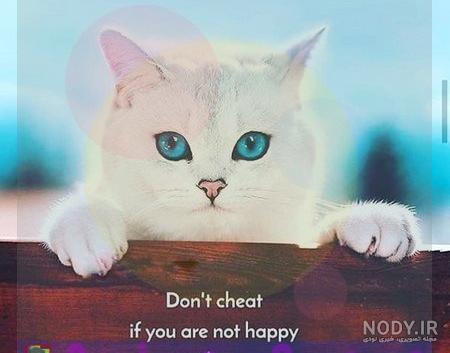 متن انگلیسی کوتاه برای بیو متن انگلیسی کوتاه برای بیو