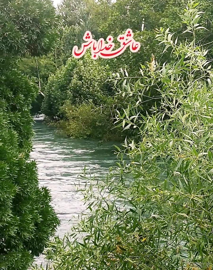 کلیپ صبح بخیر شاد کلیپ صبح بخیر شاد