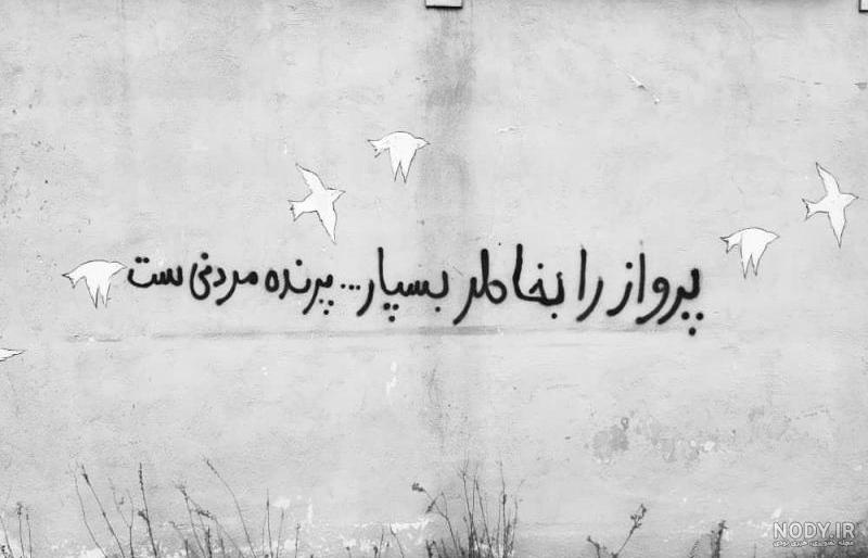 عکس نوشته پرواز را بخاطر بسپار پرنده مردنی است عکس نوشته پرواز را بخاطر بسپار پرنده مردنی است