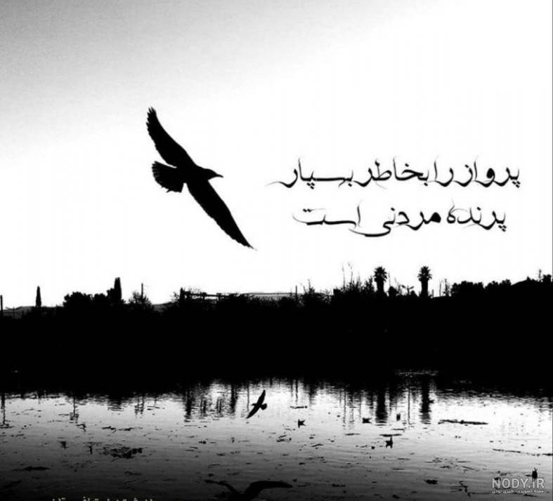عکس نوشته پرواز را به خاطر بسپار عکس نوشته پرواز را به خاطر بسپار