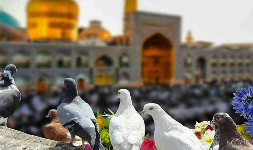 اجاره آپارتمان مبله ارزان در تهران اجاره آپارتمان مبله ارزان در تهران
