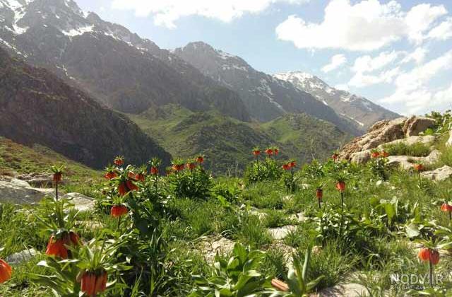 اجاره روزانه سوئیت 20 متری در تهران اجاره روزانه سوئیت 20 متری در تهران
