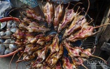 بهترین رنگ مو