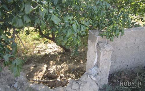متن قبل از خودکشی متن قبل از خودکشی