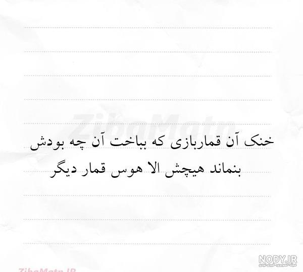 معنی شعر همه صیدها بکردی هله میر بار دیگر