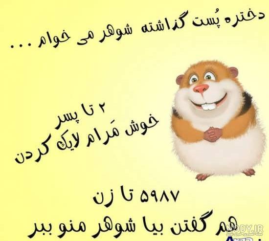 عکس خنده دار بی ادبی
