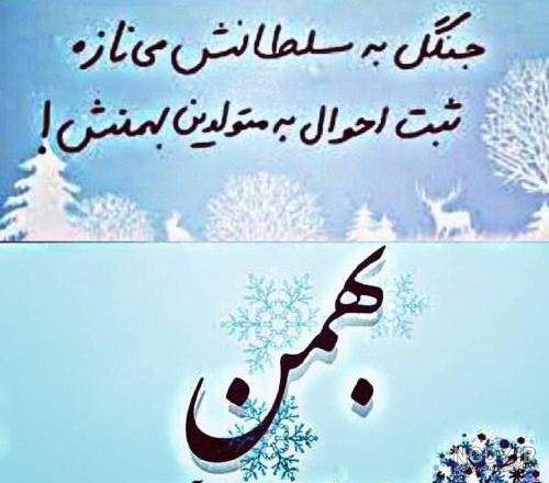 عکس نوشته برای تولد بهمن ماهی ها
