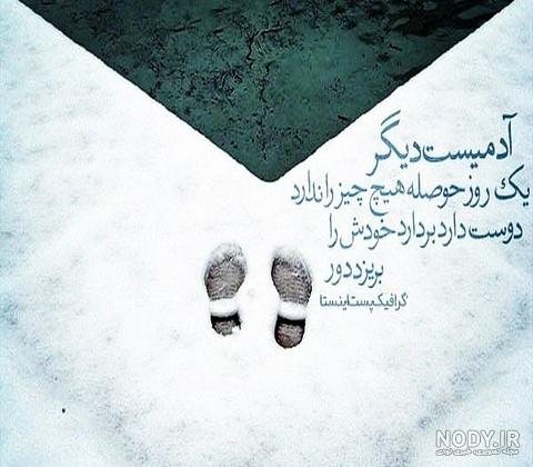 داستان حضرت سلیمان و مورچه و گنجشک داستان حضرت سلیمان و مورچه و گنجشک