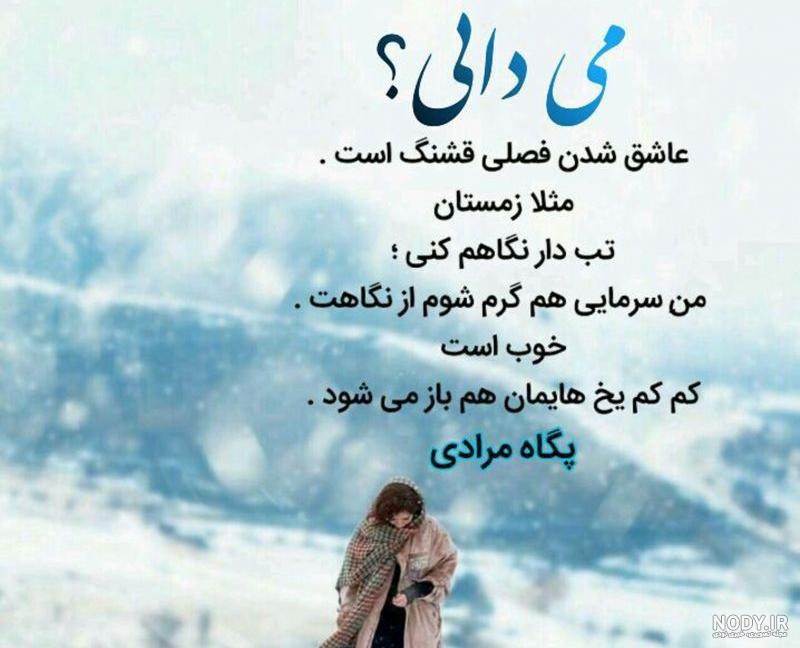 ضرب المثل مورچه ضرب المثل مورچه