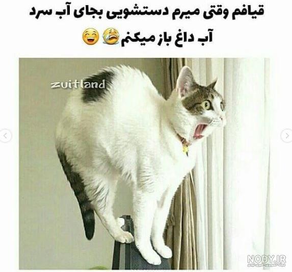 فیلم مستربین فیلم مستربین